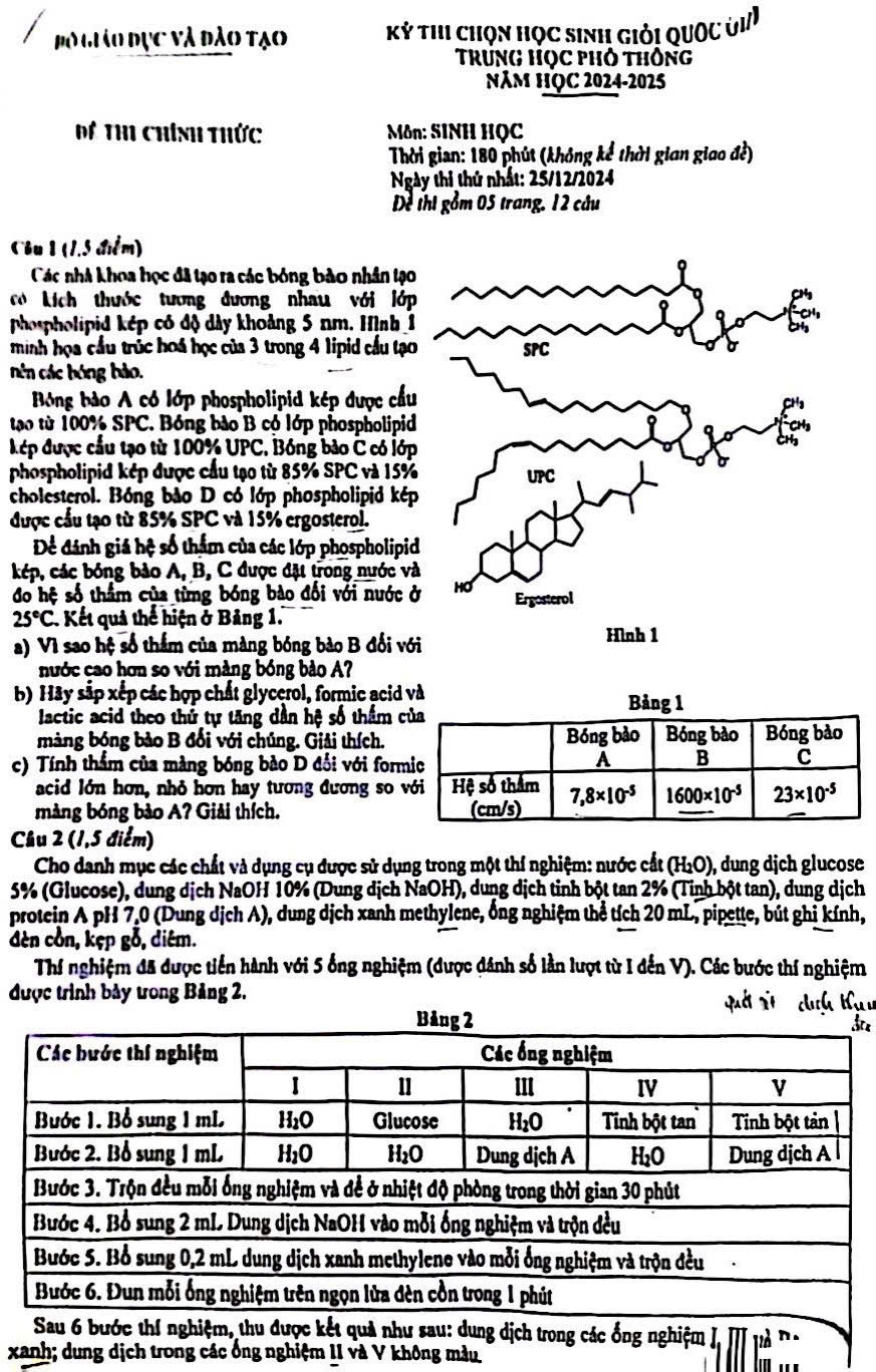 Đề thi học sinh giỏi quốc gia môn Sinh năm học 2024 2025 trang 1
