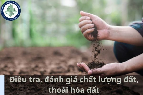 Điều tra, đánh giá chất lượng đất, thoái hóa đất bao gồm những đối tượng nào? (Ảnh từ Internet)