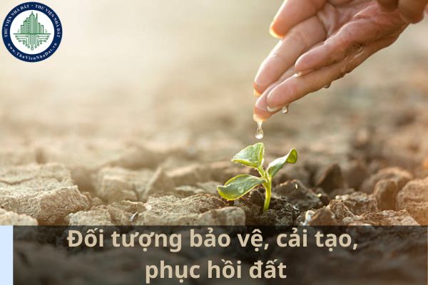 Đối tượng bảo vệ, cải tạo, phục hồi đất là những loại đất nào? (Ảnh từ Internet)