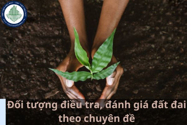 Đối tượng điều tra, đánh giá đất đai theo chuyên đề là những loại đất nào? (Ảnh từ Internet)