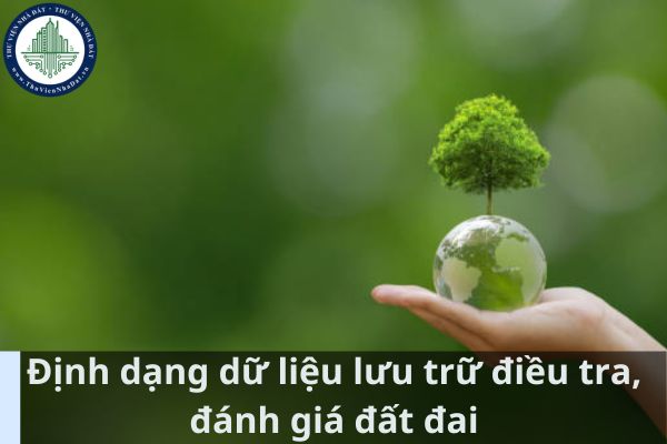 Dữ liệu điều tra, đánh giá đất đai và bảo vệ, cải tạo, phục hồi đất được lưu trữ dưới định dạng nào? (Ảnh từ Internet)