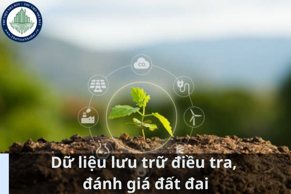 Dữ liệu lưu trữ điều tra, đánh giá đất đai và bảo vệ, cải tạo, phục hồi đất bao gồm những gì? (Ảnh từ Internet)