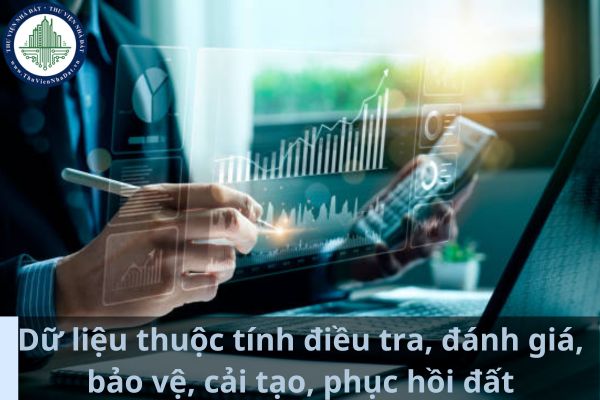 Dữ liệu thuộc tính điều tra, đánh giá, bảo vệ, cải tạo, phục hồi đất bao gồm nhóm lớp dữ liệu nào? (Ảnh từ Internet)