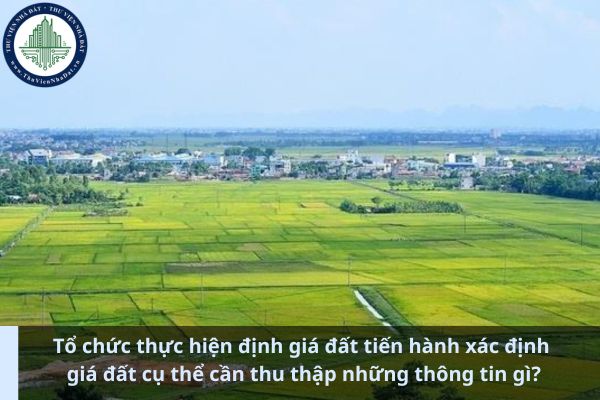 Tổ chức thực hiện định giá đất tiến hành xác định giá đất cụ thể cần thu thập những thông tin gì? (Ảnh từ Internet)