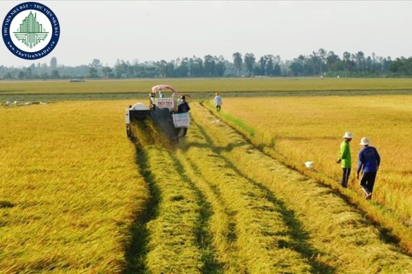 Hồ sơ đề nghị thẩm định phương án sử dụng tầng đất mặt bao gồm những gì? (Ảnh từ Internet)