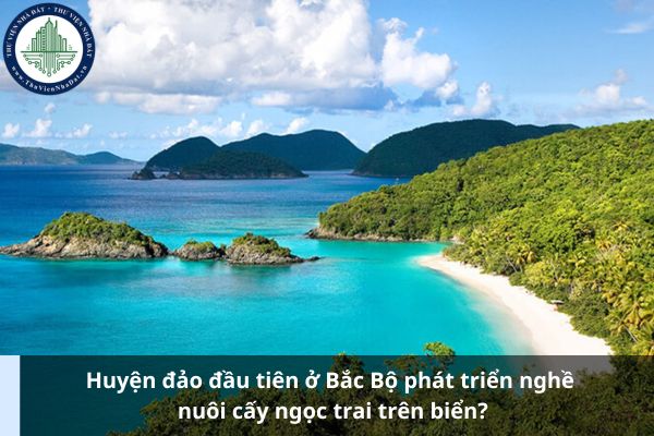 Huyện đảo đầu tiên ở Bắc Bộ phát triển nghề nuôi cấy ngọc trai trên biển? (Ảnh từ Internet)