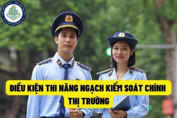 Kiểm soát viên chính thị trường có bắt buộc phải có chứng chỉ ngoại ngữ không? Điều kiện để thi nâng ngạch lên ngạch Kiểm soát viên chính thị trường là gì?