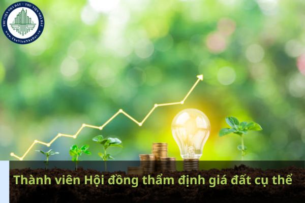 Có 5 năm kinh nghiệm trong lĩnh vực tài chính đất đai được làm thành viên Hội đồng thẩm định giá đất cụ thể không? (Ảnh từ Internet)