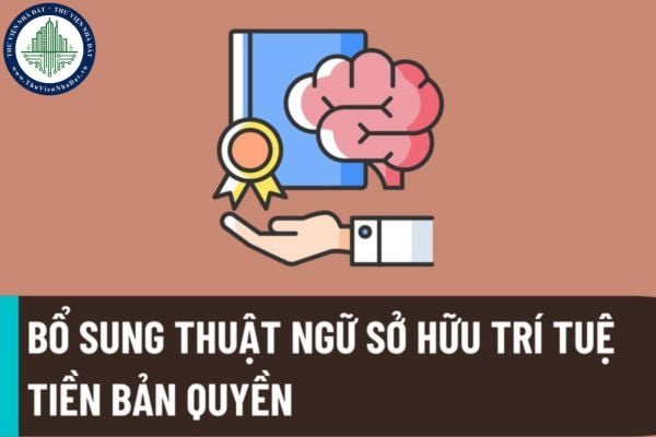 Luật sở hữu trí tuệ sửa đổi năm 2022 bổ sung quy định về tiền bản quyền? Thêm nhiều thuật ngữ liên quan đến lĩnh vực sở hữu trí tuệ?