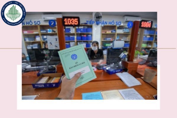 Năm 2025, cơ cấu tổ chức của Bảo hiểm xã hội khu vực thế nào? Quy định vị trí và chức năng Bảo hiểm xã hội khu vực ra sao?