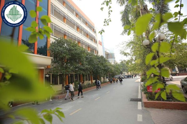 Người có bằng cử nhân được làm trợ giảng trong trường đại học công lập không?