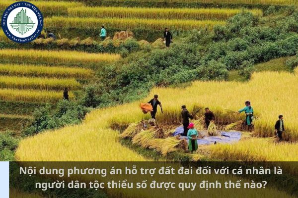 Nội dung phương án hỗ trợ đất đai đối với cá nhân là người dân tộc thiểu số được quy định thế nào? (Ảnh từ Internet)