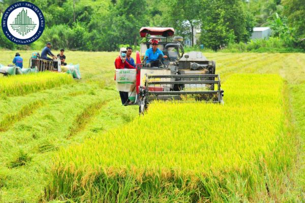 Nội dung phương án sử dụng đất nông nghiệp khi tổ chức kinh tế nhận chuyển nhượng quyền sử dụng đất nông nghiệp là gì? (Ảnh từ Internet)