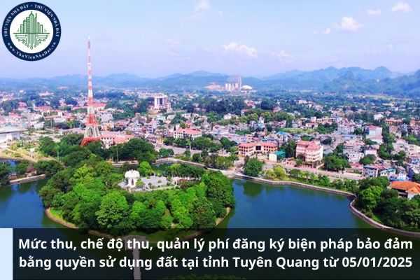 Mức thu, chế độ thu, quản lý phí đăng ký biện pháp bảo đảm bằng quyền sử dụng đất tại tỉnh Tuyên Quang từ 05/01/2025 (Ảnh từ Internet)