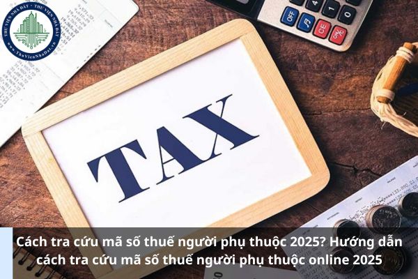 Cách tra cứu mã số thuế người phụ thuộc 2025? Hướng dẫn cách tra cứu mã số thuế người phụ thuộc online 2025 (Ảnh từ Internet)