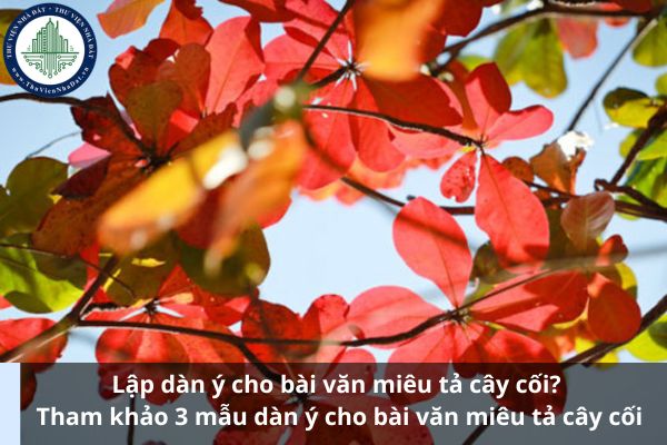 Lập dàn ý cho bài văn miêu tả cây cối? Tham khảo 3 mẫu dàn ý cho bài văn miêu tả cây cối (Ảnh từ Internet)