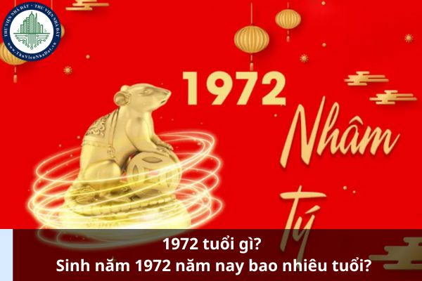 1972 tuổi gì? Sinh năm 1972 năm nay bao nhiêu tuổi? (Ảnh từ Internet)