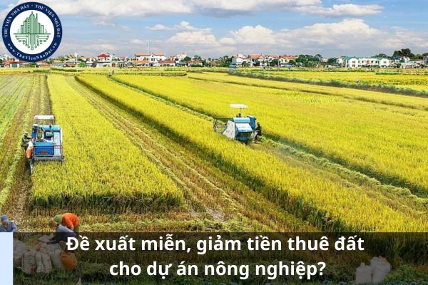 Đề xuất miễn, giảm tiền thuê đất cho dự án nông nghiệp? (Ảnh từ Internet)