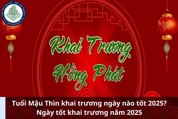 Giới Thiệu Về Tuổi Mậu Thìn 1988