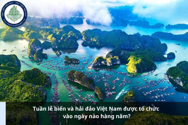 Tuần lễ biển và hải đảo Việt Nam được tổ chức vào ngày nào hàng năm? (Ảnh từ Internet)