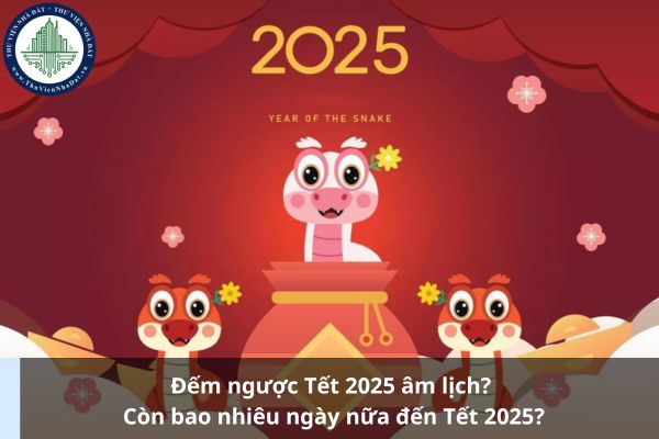 Đếm ngược Tết 2025 âm lịch? Còn bao nhiêu ngày nữa đến Tết 2025? (Ảnh từ Internet)