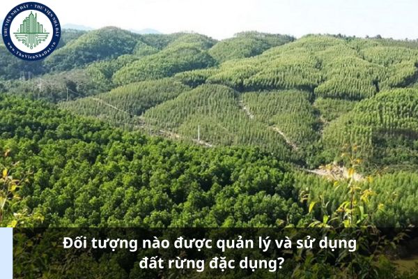 Đối tượng nào được quản lý và sử dụng đất rừng đặc dụng? (Ảnh từ Internet)