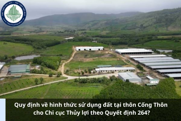 Quy định về hình thức sử dụng đất tại thôn Cống Thôn cho Chi cục Thủy lợi theo Quyết định 264? (Ảnh từ Internet)