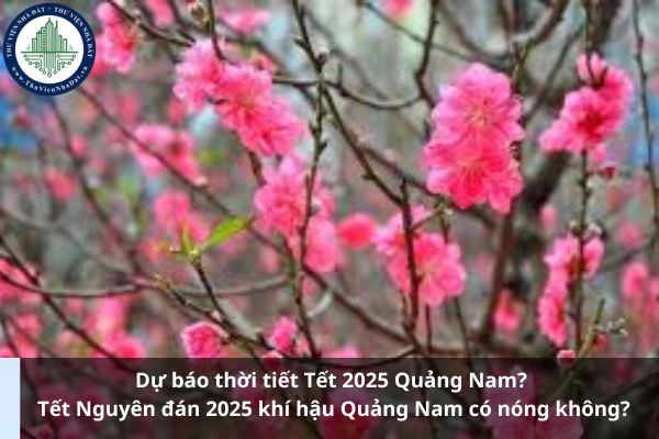 Dự báo thời tiết Tết 2025 Quảng Nam? Tết Nguyên đán 2025 khí hậu Quảng Nam có nóng không? (Ảnh từ Internet)