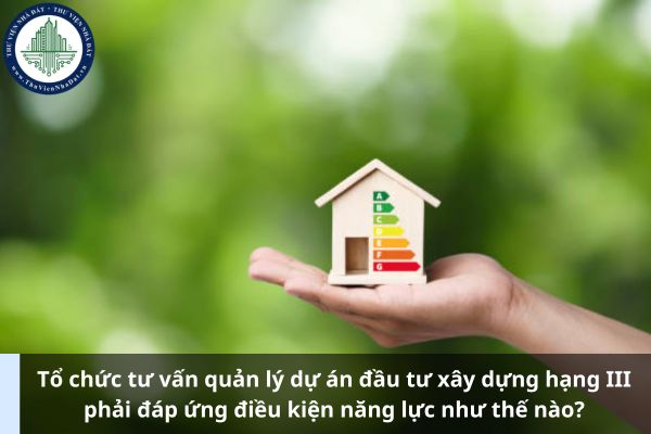 Tổ chức tư vấn quản lý dự án đầu tư xây dựng hạng III phải đáp ứng điều kiện năng lực như thế nào? (Ảnh từ Internet)