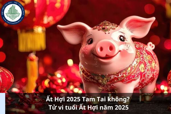 Ất Hợi 2025 Tam Tai không? Tử vi tuổi Ất Hợi năm 2025 (Ảnh từ Internet)