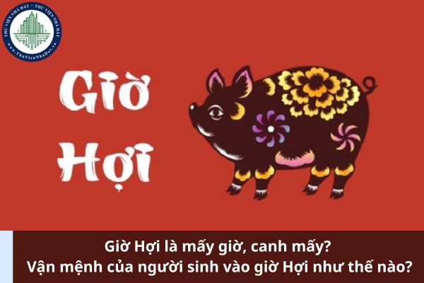 Giờ Hợi là mấy giờ, canh mấy? Vận mệnh của người sinh vào giờ Hợi như thế nào? (Ảnh từ Internet)