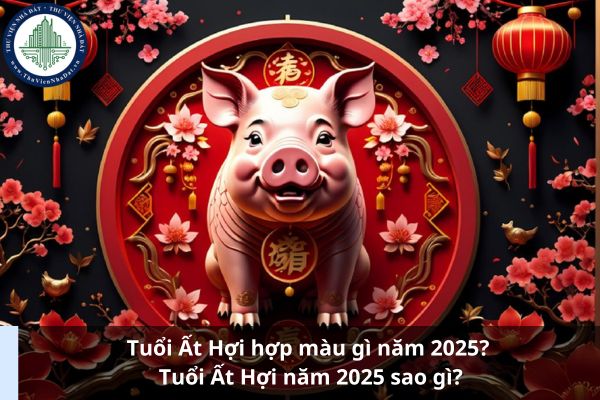 Tuổi Ất Hợi hợp màu gì năm 2025? Tuổi Ất Hợi năm 2025 sao gì? (Ảnh từ Internet)