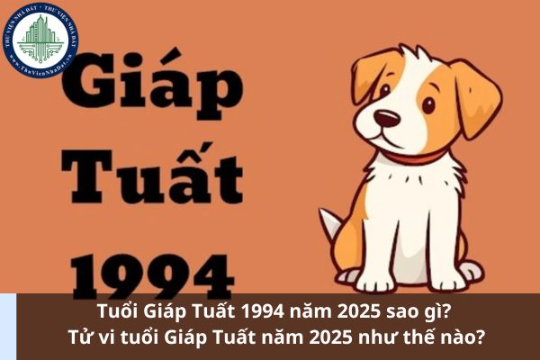 Tuổi Giáp Tuất 1994 năm 2025 sao gì? Tử vi tuổi Giáp Tuất năm 2025 như thế nào? (Ảnh từ Internet)