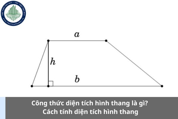 Công thức diện tích hình thang là gì? Cách tính diện tích hình thang (Ảnh từ Internet)