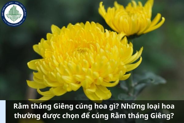 Rằm tháng Giêng cúng hoa gì? Những loại hoa thường được chọn để cúng Rằm tháng Giêng? (Ảnh từ Internet)