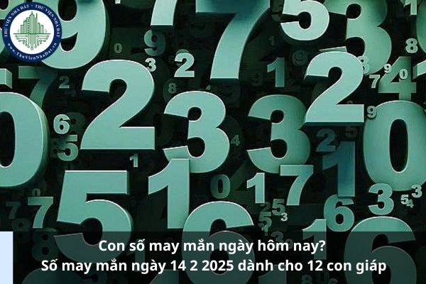 Con số may mắn ngày hôm nay? Số may mắn ngày 14 2 2025 dành cho 12 con giáp