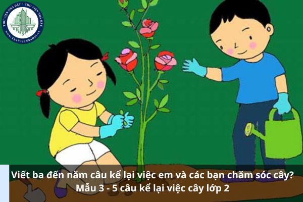 Viết ba đến năm câu kể lại việc em và các bạn chăm sóc cây? Mẫu 3 - 5 câu kể lại việc cây lớp 2 (Ảnh từ Internet)