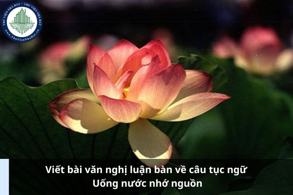 Viết bài văn nghị luận bàn về câu tục ngữ Uống nước nhớ nguồn? 3 Mẫu bài văn nghị luận xã hội Uống nước nhớ nguồn (Ảnh từ Internet)