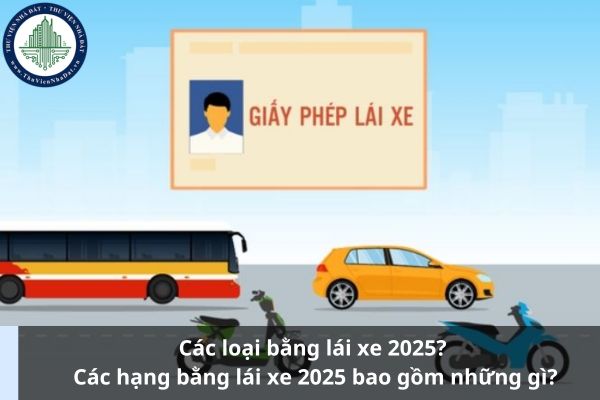 Các loại bằng lái xe 2025? Các hạng bằng lái xe 2025 bao gồm những gì? (Ảnh từ Internet)