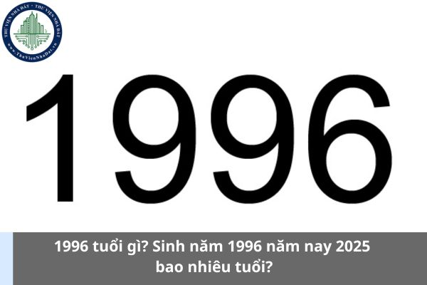 thuviennhadat.vn