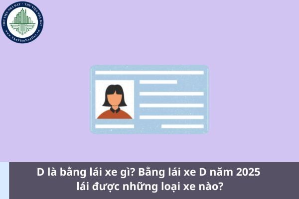 D là bằng lái xe gì? Bằng lái xe D năm 2025 lái được những loại xe nào? (Ảnh từ Internet)