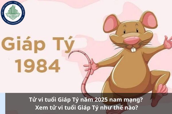 Tử vi tuổi Giáp Tý năm 2025 nam mạng? Xem tử vi tuổi Giáp Tý như thế nào? (Ảnh từ Internet)