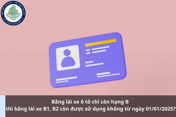 Bằng lái xe ô tô chỉ còn hạng B thì bằng lái xe B1, B2 còn được sử dụng không từ ngày 01/01/2025? (Ảnh từ Internet)