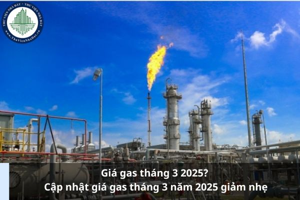 Giá gas tháng 3 2025? Cập nhật giá gas tháng 3 năm 2025 giảm nhẹ (Ảnh từ Internet)