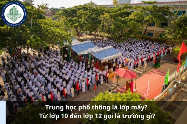 Trung học phổ thông là lớp mấy? Từ lớp 10 đến lớp 12 gọi là trường gì? (Ảnh từ Internet)