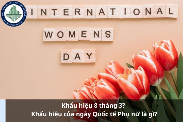 Khẩu hiệu 8 tháng 3? Khẩu hiệu của ngày Quốc tế Phụ nữ là gì?