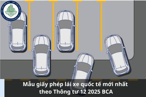 Mẫu giấy phép lái xe quốc tế mới nhất theo Thông tư 12 2025 BCA