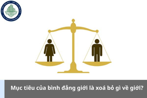 Mục tiêu của bình đẳng giới là xoá bỏ gì về giới? (Hình từ Internet)