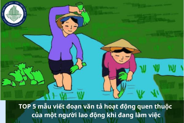 TOP 5 mẫu viết đoạn văn tả hoạt động quen thuộc của một người lao động khi đang làm việc