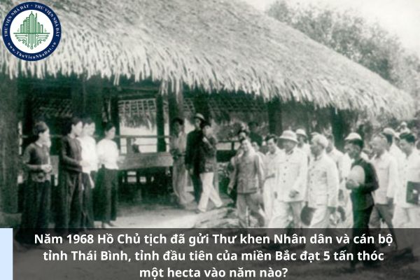 Năm 1968 Hồ Chủ tịch đã gửi Thư khen Nhân dân và cán bộ tỉnh Thái Bình, tỉnh đầu tiên của miền Bắc đạt 5 tấn thóc một hecta vào năm nào? (Hình từ Internet)